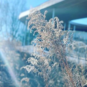 Meet your Posher, Xiaoyin